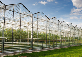 鄭州智能溫室大棚控制系統